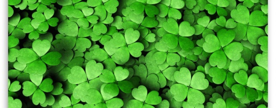 four leaf clovers